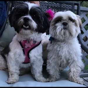 Meet your Posher, Kim